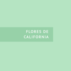 Flores de California